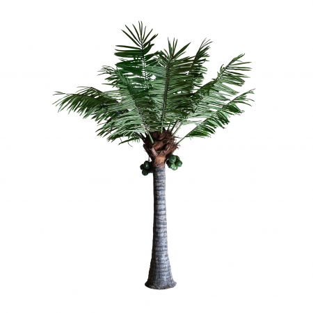 Obiecte decorative - Palmier artificial marime naturala | Plante decorative mari