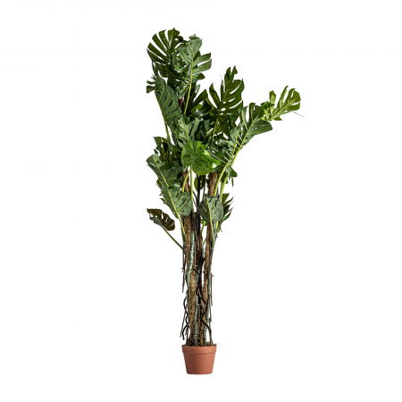 Obiecte decorative - Planta decorativa split philo | Plante artificiale vintage
