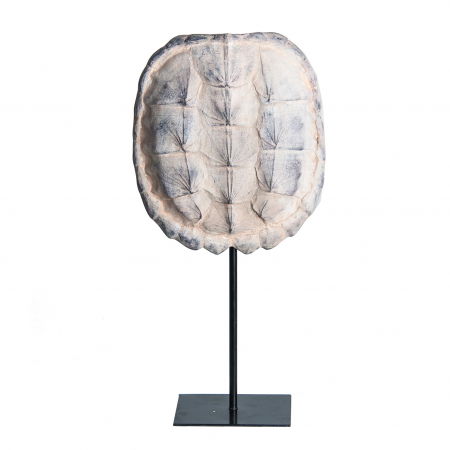 Scandinav - Sculptura carapace testoasa|Decoratiuni scandinave moderne