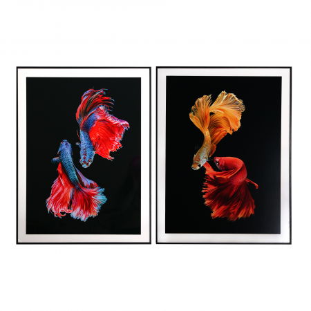 Tablouri - Tablouri contemporane multicolore|Tablouri premium perete