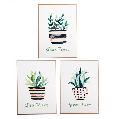 Tablouri - Tablouri Shabby Chic verzi|Tablouri premium perete