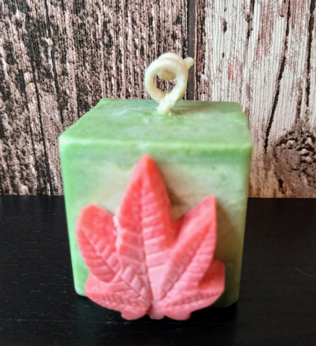 Set " Rasta mini cub " [4]