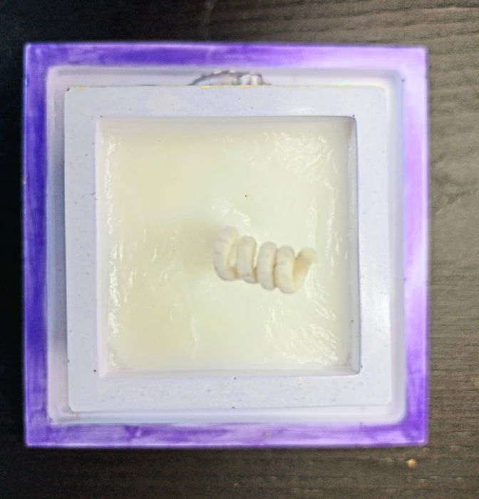 Set decorativ " Hippo" [16]