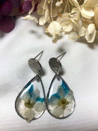 Picature albastre alb [1]