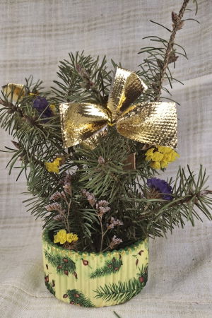 Set decorativ de Craciun [3]