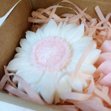 Wax melts - Tablete parfumate  -cutie cu doua flori divers colorate. [9]