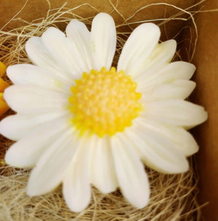 Wax melts - Tablete parfumate  -cutie cu doua flori divers colorate. [10]