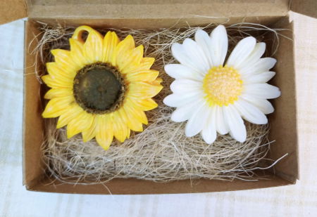 Wax melts - Wax melts - Tablete parfumate  -cutie cu doua flori divers colorate.