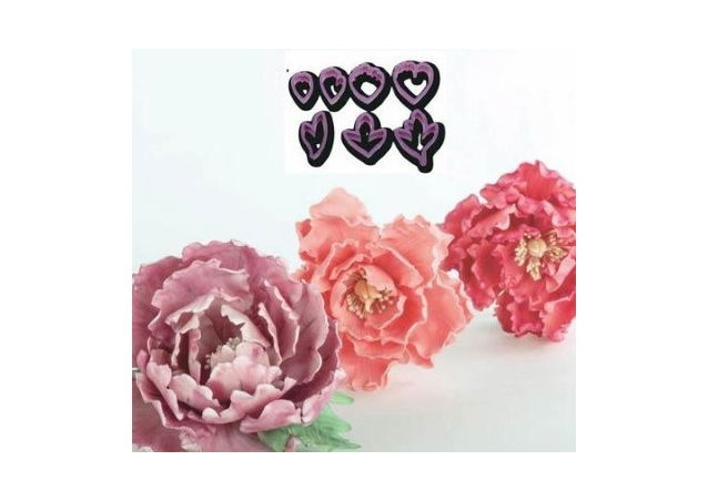 Bujor Petale si Frunze - Decupatoare Plastic Ø 3.5 - 10.5 cm, Set 7 Buc [2]