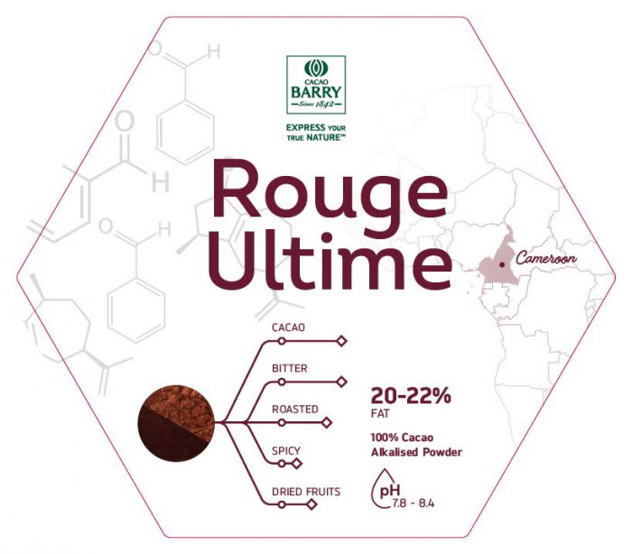 Cacao pudra alcalinizata 22-24%, Rouge Ultimate, 5 kg, Cacao Barry [2]