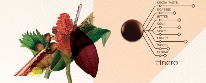 Ciocolata Neagra 66 % Mexique, 1 kg, Cacao Barry [2]