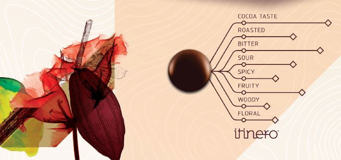 Ciocolata Neagra 75 % Tanzanie, 2.5 kg, Cacao Barry [2]