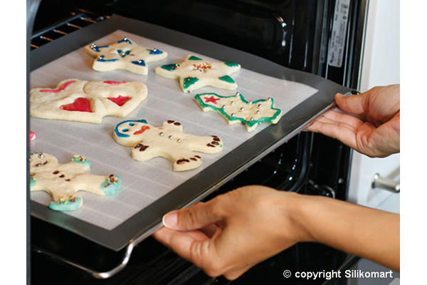 Covoras Silicon Fibra de Sticla 30x40 cm [3]