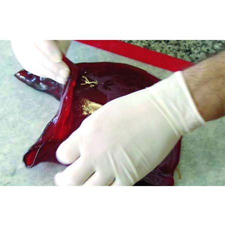 Covoras silicon Coacere-Congelare, 79x59 cm [4]