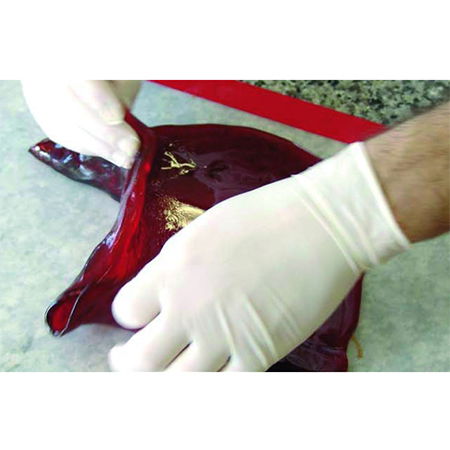 Covoras silicon Coacere-Congelare, 79x77 cm [6]