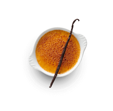 Crema Brulee, baza desert cu seminte de vanilie de Madagascar [2]