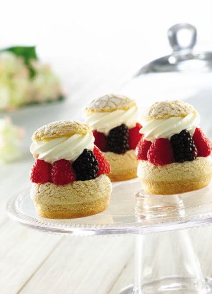 Crema vegetala pentru creme si decor Passionata Puratos [3]