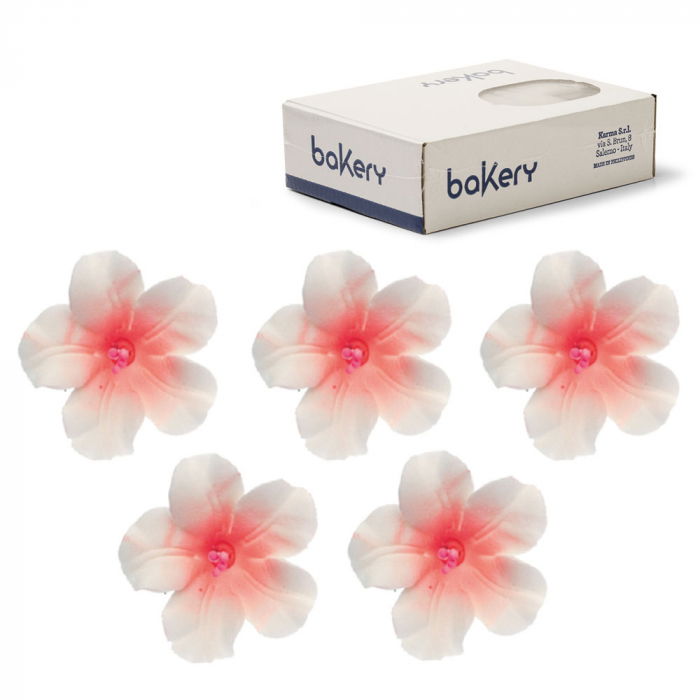 Flori Azalee Alb - Frez din zahar [1]