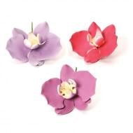 Flori de Orhidee din zahăr pentru decor [2]