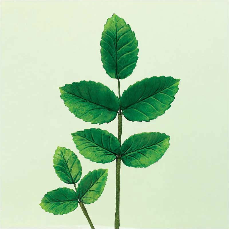 Decupatoare Frunze - Set 4 Buc [3]