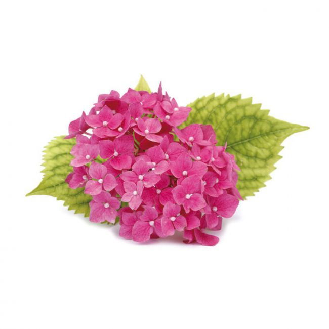 Hortensie Petale - Decupator Inox si Mulaj Silicon Ø 3 cm, Set 3 Buc [2]