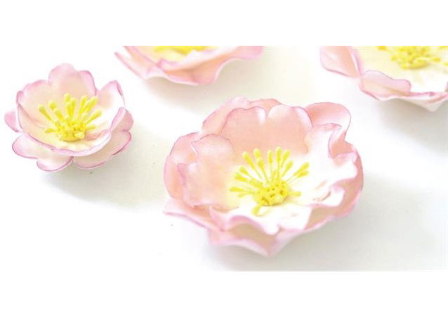 Floare de Maces - Decupatoare Plastic Ø 4 – 8 cm, Set 5 Buc [3]