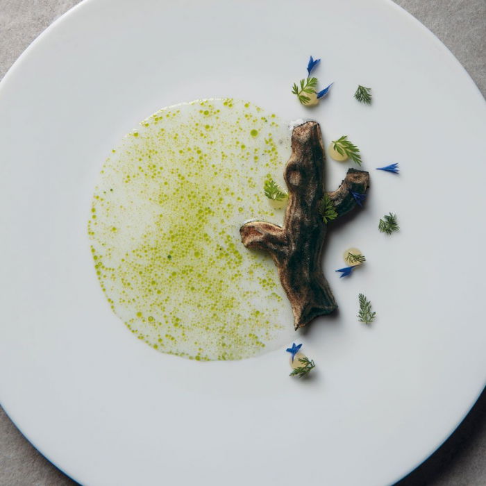 Forma Silicon Gourmand Arbori 12 x 6.9 x H 1.8 cm, 6 cavitati [1]