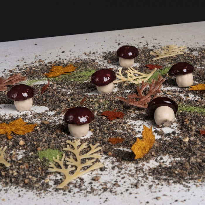 Forma Silicon Gourmand Ciupercute 2.8 x 2.9 x H 2.7 cm, 40 cavitati [4]