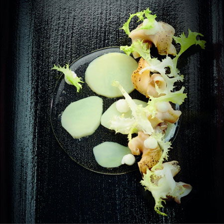 Forma Silicon Gourmand Disc mic Ø 9 x H 0.35 cm, 11 cavitati [1]