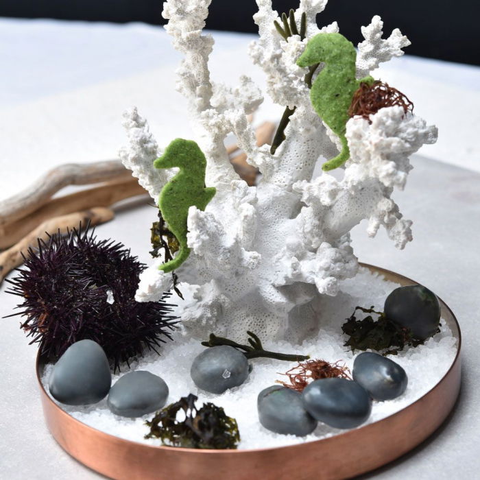 Forma Silicon Gourmand Pietricele 3.6 x 2.8 x H 1.5 cm, 28 cavitati [1]