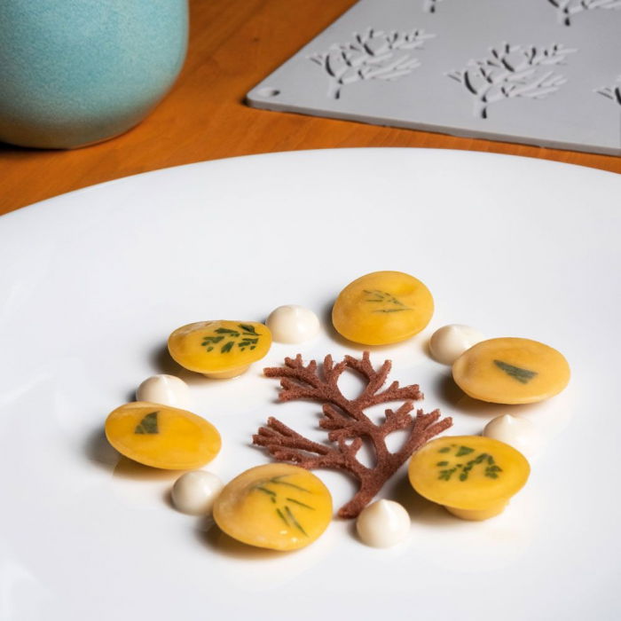 Forma Silicon Gourmand Ramuri 7.8 x 4.8 x H 0.2 cm, 10 cavitati [4]