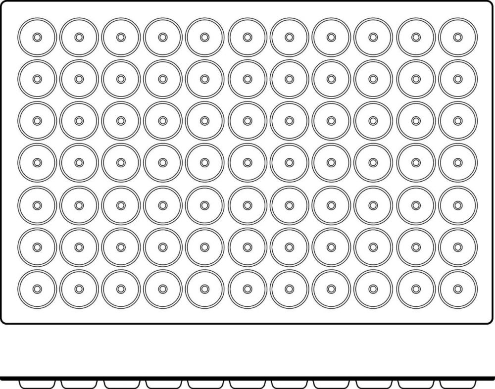 Forma Silicon Mini Savarin Mignon Ø 4.1 x H 1.2 cm, 77 cavitati, 12 ml (SQ033) [3]