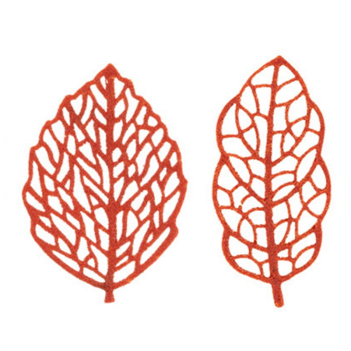 Forma Silicon NaturaE Frunze 2 modele 6.6 x 3 x H 0.15 cm, 24 cavitati [1]