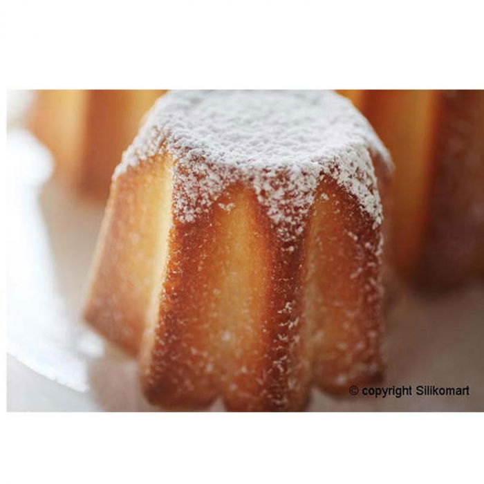 Forma Silicon Pandorini Ø7.5xH6cm, 6 cavitati (SF100)  [2]