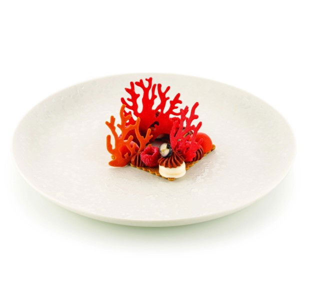 Forma Silicon Silikomart NaturaE Coral 2 modele 5 x 6.3 x H 2 cm - 6.8 x 6.3 x H 2 cm, 1 ml, 21 cavitati [1]