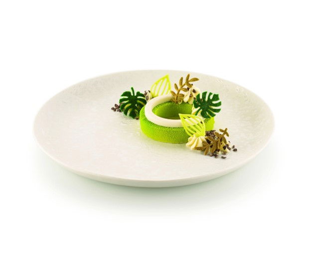 Forma Silicon Silikomart NaturaE Frunze 4 modele 4 x 2.5 x H 2 cm - 4 x 4.9 x H 2 cm, 1 ml, 68 cavitati [1]