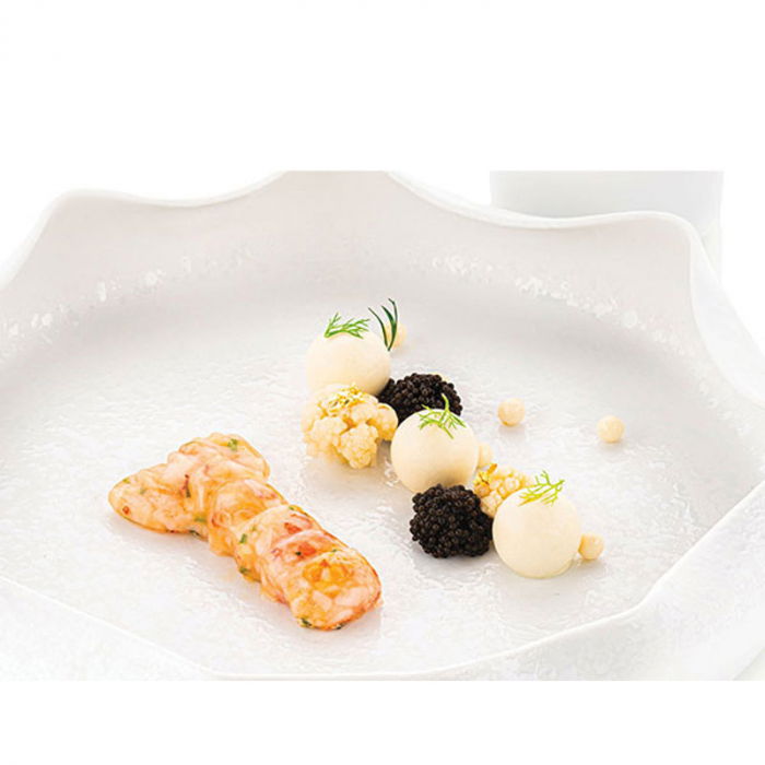 Forma Silicon Silikomart NaturaE Homar 8.1 x 4.2 x H 1.45 cm, 20 ml, 12 cavitati [2]