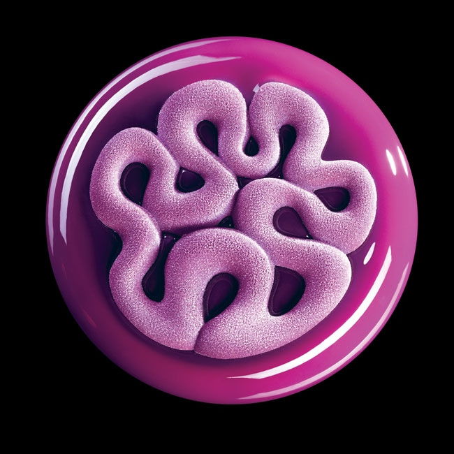 Forma Silicon TOP Jelly Ø13.5xH1.4 cm, 2 cavitati [1]