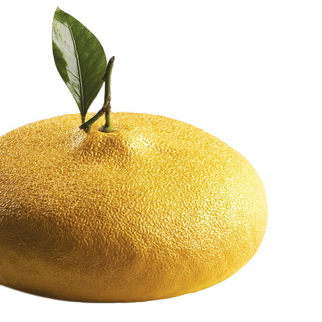 Lamaie/Lime 3D, Ø18xH7 cm - Forma Silicon Tort 3D golet [1]