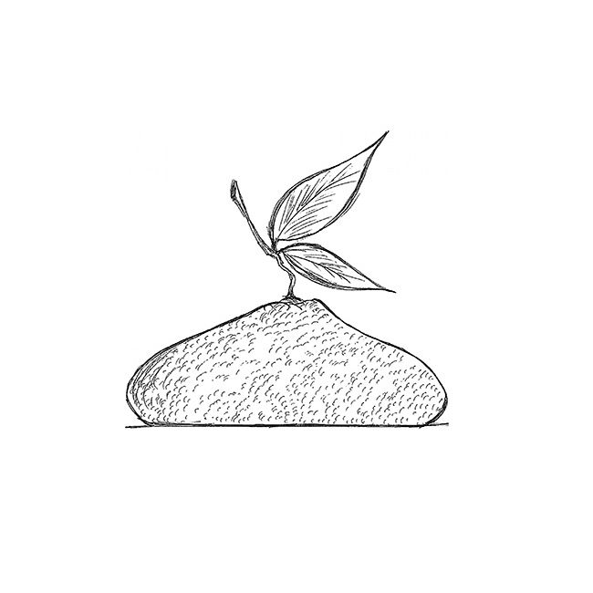 Lamaie/Lime 3D, Ø18xH7 cm - Forma Silicon Tort 3D golet [3]