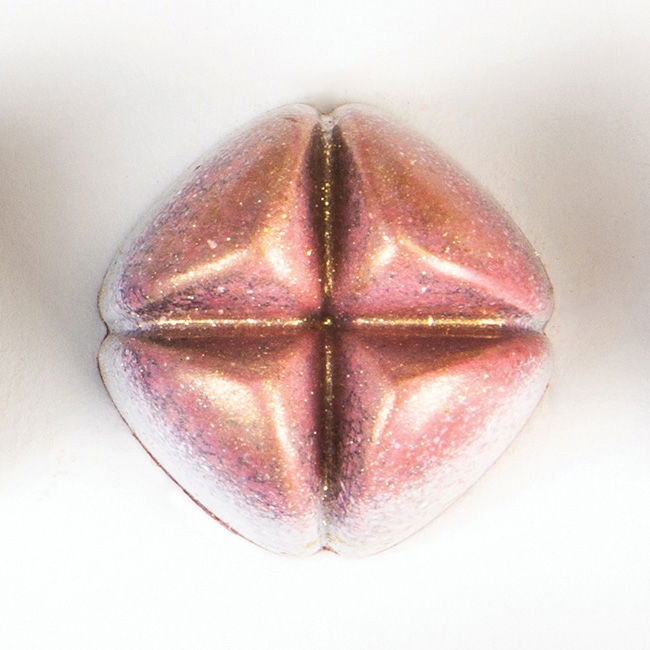 Matrita Policarbonat Gama Antonio Bachour - 21 Praline Ciocolata [1]