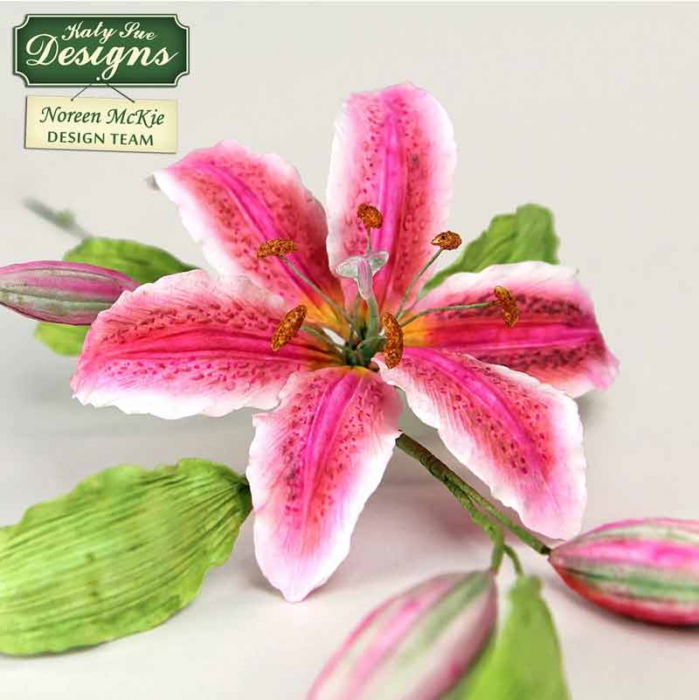 Mulaj Silicon Crini 10 x 3.3 cm, 2 buc [5]