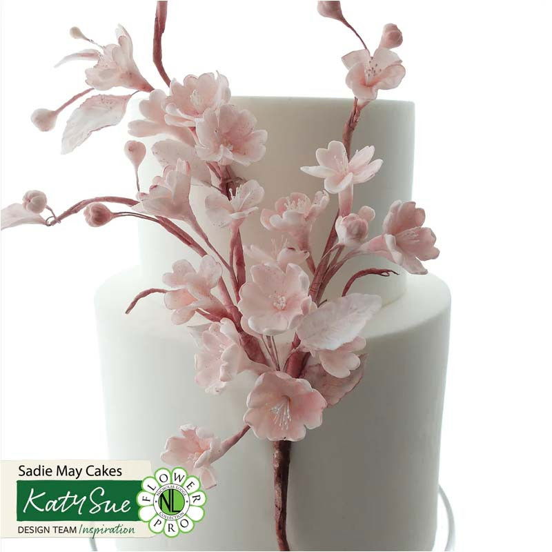 Mulaj Silicon Flori Primavara [2]