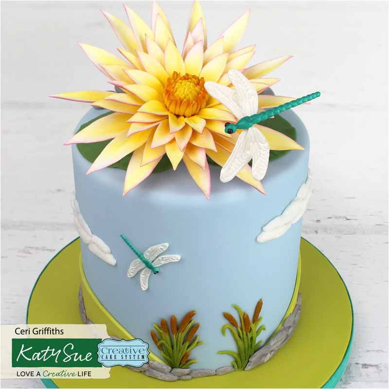 Mulaj Silicon Libelule, 5 Subiecte [2]