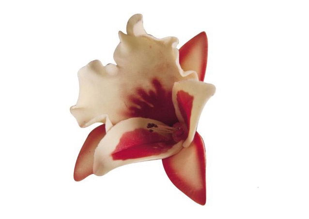 Orhidee Panse - Decupatoare Plastic Ø 5.7 - 9.6 cm, Set 3 Buc [2]