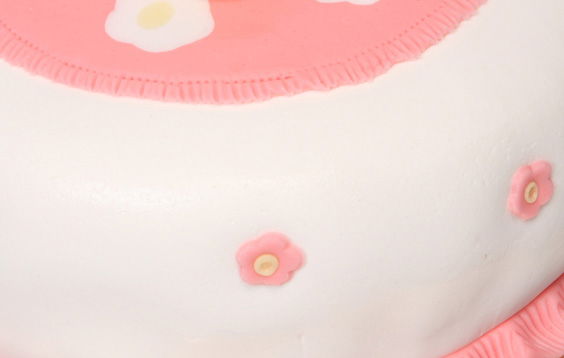 Pasta de Zahar Alba, Acoperire, Decoruri si Flori, 1 kg, Fodekor [4]