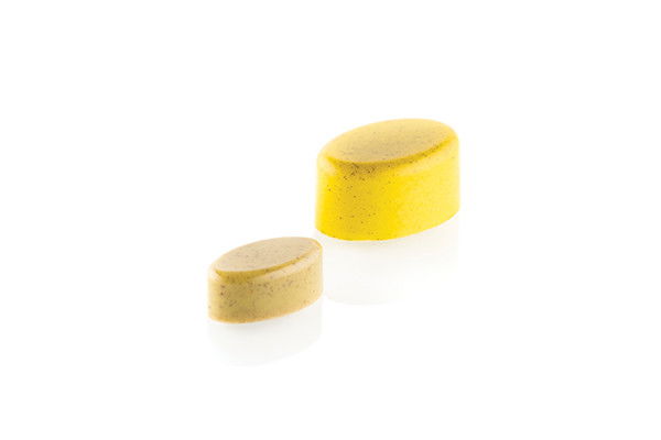 Kit Matrita Policarbonat + silicon, 24 cavitati, 2.3 x 3.3 x H 1.5 cm, 8.5 ml (CH014) [3]