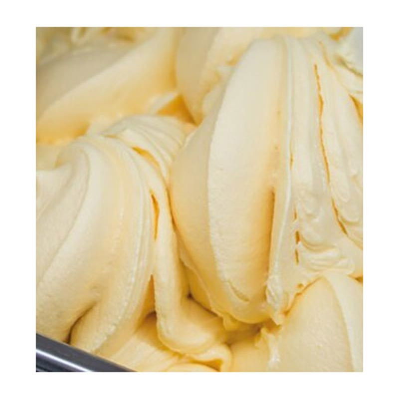 Premix Aroma Vanilie - Mousse, Bavareze, Semifreddo Joydessert Premium Irca 1 Kg [3]