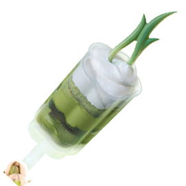 PushUpPops Floare, Matrite Plastic 90 ml, Set 100 buc [1]