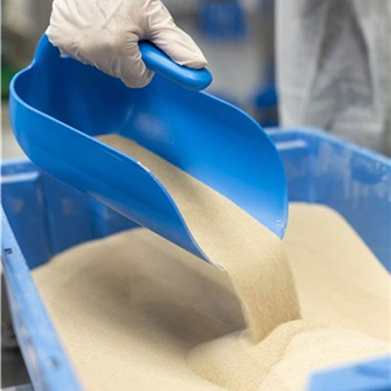 Scafa cu Baza Rotunjita 2 Litri, Material Plastic Albastru, L 27 cm [8]